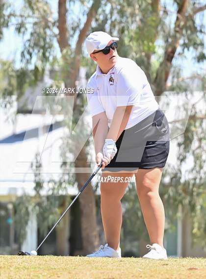 Thumbnail 1 in Metro Invitational Golf Tournament photogallery.