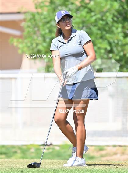 Thumbnail 2 in Metro Invitational Golf Tournament photogallery.