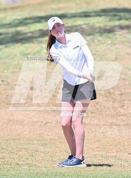 Thumbnail 1 in Metro Invitational Golf Tournament photogallery.