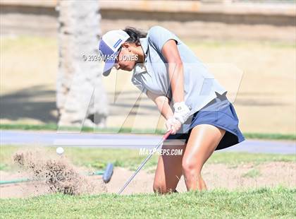 Thumbnail 1 in Metro Invitational Golf Tournament photogallery.