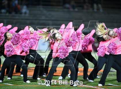 Thumbnail 1 in Stamford @ Ridgefield photogallery.