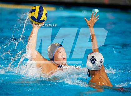 Thumbnail 1 in American @ Foothill photogallery.