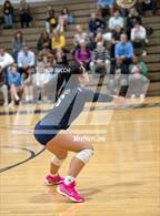Photo from the gallery "Athens @ Detroit Country Day"