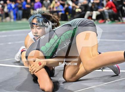 Thumbnail 3 in UIL 5A/6A State Championships - Session 4 photogallery.