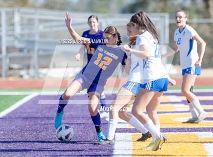 Thumbnail 2 in Bourgeois @ Thibodaux photogallery.