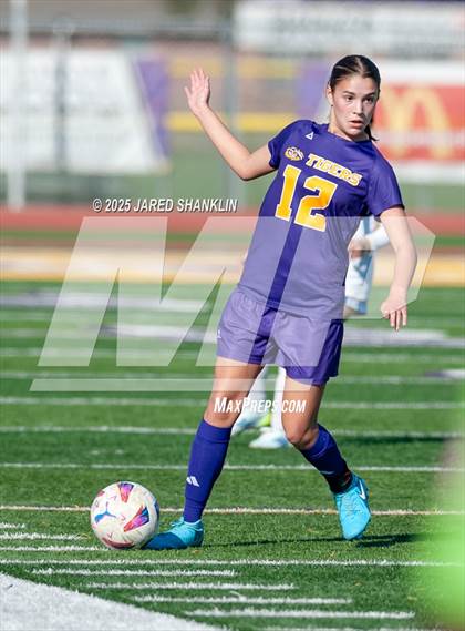 Thumbnail 1 in Bourgeois @ Thibodaux photogallery.