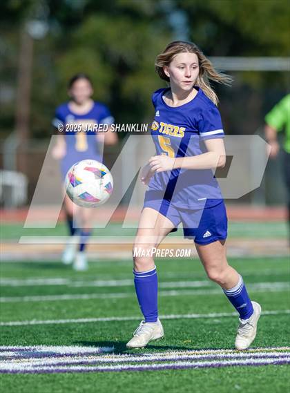 Thumbnail 1 in Bourgeois @ Thibodaux photogallery.