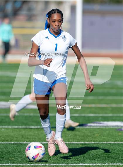 Thumbnail 2 in Bourgeois @ Thibodaux photogallery.
