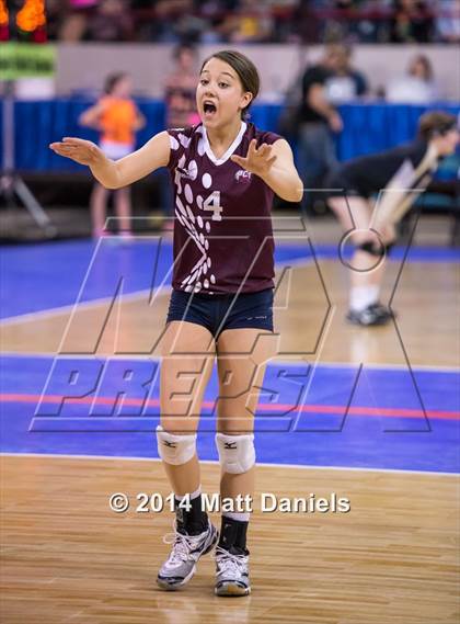 Thumbnail 3 in Cherokee Trail vs. Highlands Ranch (CHSAA 5A Playoff) photogallery.