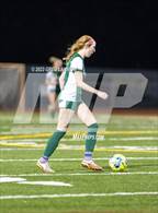 Photo from the gallery "Napa @ Casa Grande"