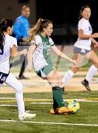 Photo from the gallery "Napa @ Casa Grande"