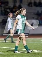 Photo from the gallery "Napa @ Casa Grande"