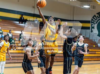 Thumbnail 3 in Harnett Central @ Pine Forest photogallery.