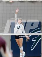 Photo from the gallery "Golden @ Pine Creek"