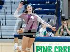 Photo from the gallery "Golden @ Pine Creek"