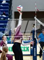 Photo from the gallery "Golden @ Pine Creek"