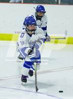 Photo from the gallery "Wilton @ Darien"