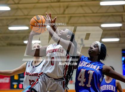 Thumbnail 1 in Maplesville vs Verbena (Chilton County Tournament Round 1) photogallery.