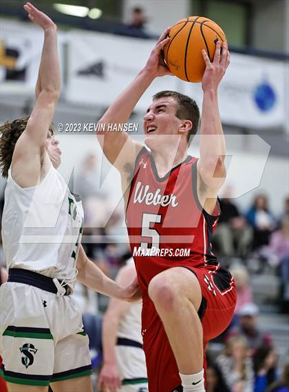 Thumbnail 1 in Weber @ Syracuse photogallery.