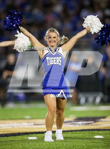 Thumbnail 1 in Gunter @ Whitesboro photogallery.