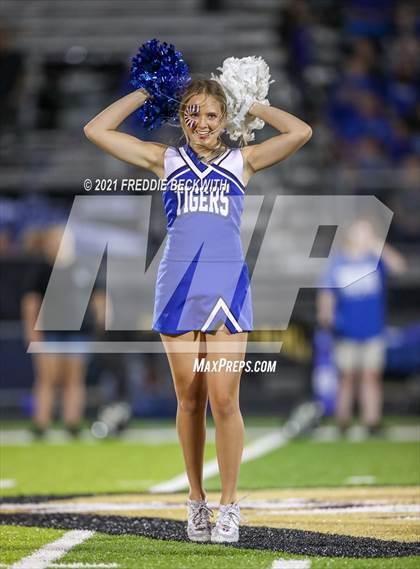Thumbnail 1 in Gunter @ Whitesboro photogallery.