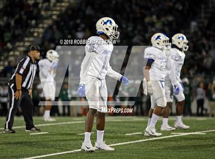Thumbnail 3 in John Tyler @ Poteet photogallery.