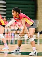 Photo from the gallery "Mar Vista @ Southwest SD"