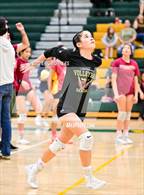 Photo from the gallery "Mar Vista @ Southwest SD"