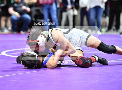 Thumbnail 1 in UIL State Championships - 6A 95lb Final photogallery.