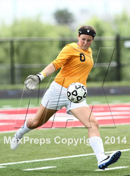 Thumbnail 2 in Kapaun Mt. Carmel vs Bishop Carroll (KSHSAA 5A Third Place) photogallery.