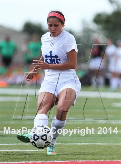 Thumbnail 1 in Kapaun Mt. Carmel vs Bishop Carroll (KSHSAA 5A Third Place) photogallery.