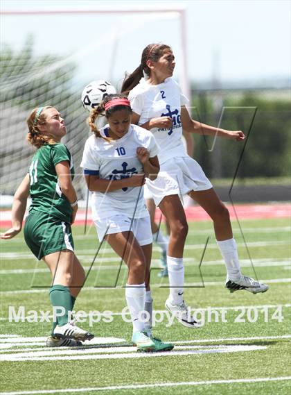 Thumbnail 1 in Kapaun Mt. Carmel vs Bishop Carroll (KSHSAA 5A Third Place) photogallery.