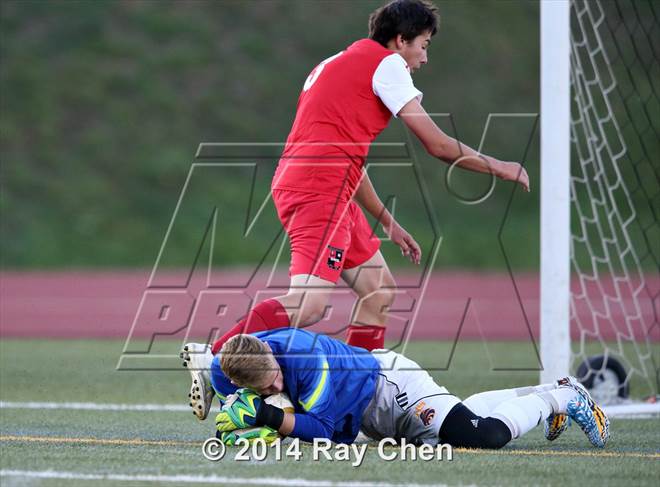 null - Photo 11