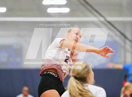 Thumbnail 2 in Coronado @ Carrollwood Day (Florida GEM Tournement at Wiregrass Ranch) photogallery.