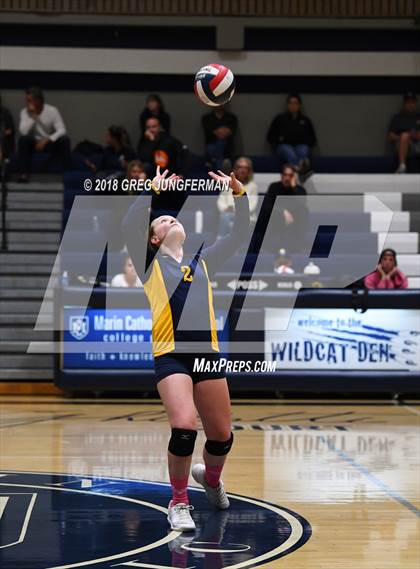 Thumbnail 1 in Alhambra @ Marin Catholic (CIF NCS D3 Semi-Final) photogallery.