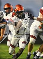 Photo from the gallery "Lemon Bay @ Parrish Community"