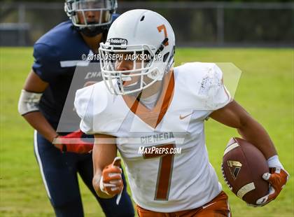 Thumbnail 2 in Cienega vs. Cholla photogallery.
