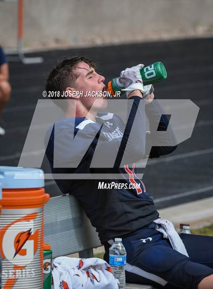 Thumbnail 2 in Cienega vs. Cholla photogallery.