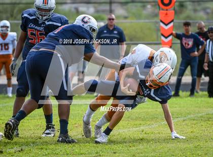 Thumbnail 3 in Cienega vs. Cholla photogallery.