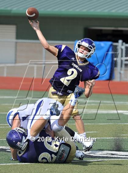 Thumbnail 1 in Alvarado vs. Decatur (Dale Hansen Classic) photogallery.