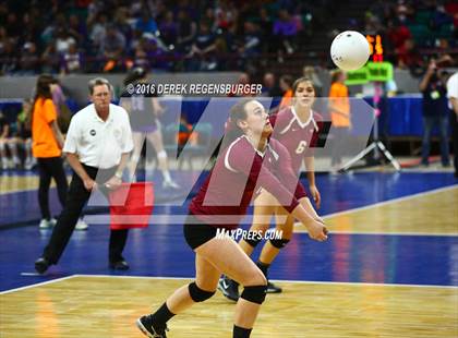 Thumbnail 2 in Chaparral vs Hatfield (CHSAA 5A Playoff) photogallery.
