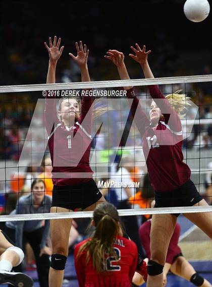Thumbnail 3 in Chaparral vs Hatfield (CHSAA 5A Playoff) photogallery.