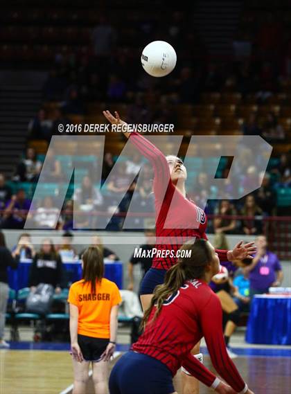 Thumbnail 2 in Chaparral vs Hatfield (CHSAA 5A Playoff) photogallery.