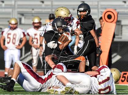 Thumbnail 1 in Cardinal Newman @ Santa Rosa photogallery.
