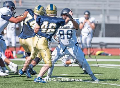 Thumbnail 2 in Chino @ Los Osos photogallery.