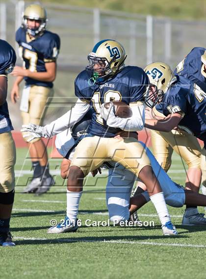 Thumbnail 1 in Chino @ Los Osos photogallery.