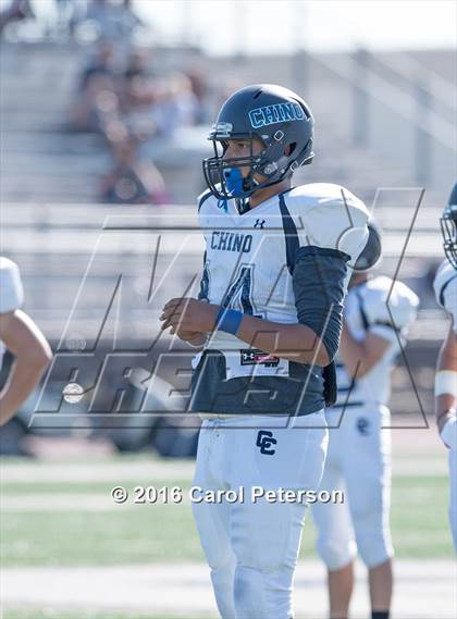 Thumbnail 1 in Chino @ Los Osos photogallery.