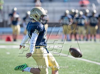 Thumbnail 1 in Chino @ Los Osos photogallery.