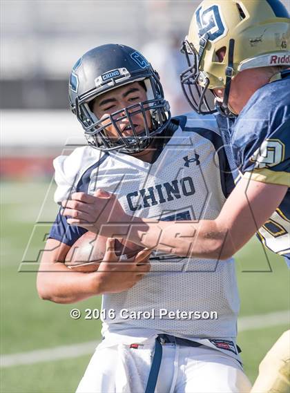 Thumbnail 1 in Chino @ Los Osos photogallery.