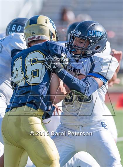 Thumbnail 1 in Chino @ Los Osos photogallery.